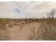 Open desert scene with cacti and native vegetation under a cloudy sky, with distant homes visible at 27575 N Dolores Pl, San Tan Valley, AZ 85144