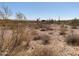 Expansive desert view featuring cacti and distant homes, highlighting the serene natural environment at 27575 N Dolores Pl, San Tan Valley, AZ 85144