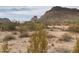 Expansive desert view showcasing natural landscape and distant structures at 27575 N Dolores Pl, San Tan Valley, AZ 85144