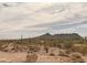 Scenic desert view featuring cacti and mountains under a cloudy sky, showcasing the natural beauty of the landscape at 27575 N Dolores Pl, San Tan Valley, AZ 85144