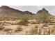 Scenic desert view showcasing cacti, native vegetation, and mountains in the background at 27575 N Dolores Pl, San Tan Valley, AZ 85144