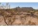 Panoramic view of the desert, highlighting the natural beauty at 27575 N Dolores Pl, San Tan Valley, AZ 85144