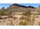 Scenic desert views featuring native vegetation and mountains in distance at 27575 N Dolores Pl, San Tan Valley, AZ 85144