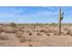 A serene desert landscape with native vegetation, cacti, and clear blue sky above at 27864 N 158Th Ave, Surprise, AZ 85387