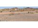 An arid landscape dotted with cacti, shrubs, and a view of distant homes and mountains at 27864 N 158Th Ave, Surprise, AZ 85387