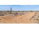 Expansive desert land with native vegetation and a dirt road, ready for development at 27864 N 158Th Ave, Surprise, AZ 85387