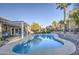 Inviting backyard pool with surrounding patio and desert landscaping creating a relaxing outdoor oasis at 835 W Beechnut Dr, Chandler, AZ 85248