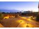 Expansive front yard with artistic lighting, desert landscaping, and a paved driveway leading to the home at 10142 E La Palma Ave, Gold Canyon, AZ 85118