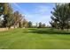 Expansive golf course view with lush green fairway and mature trees under a clear sky at 11578 N 80Th Pl, Scottsdale, AZ 85260