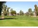 Lush green golf course with mature trees and neighborhood in the background at 11578 N 80Th Pl, Scottsdale, AZ 85260
