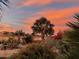 Lush backyard featuring desert landscaping, palm trees, and vibrant red flowers beneath a beautiful sunset sky at 1213 W Deoni Trl, San Tan Valley, AZ 85143