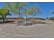 Community basketball court featuring two desert trees and a basketball hoop at 16188 W Hearn Rd, Surprise, AZ 85379