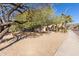 Charming desert home featuring mature trees and desert landscaping at 16256 S 1St St, Phoenix, AZ 85048