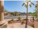 Well-manicured front yard with desert landscaping, stones, palms, and view of the surrounding community at 16256 S 1St St, Phoenix, AZ 85048