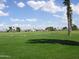 Scenic view of a lush golf course featuring expansive green lawns, tall palm trees, and clear blue skies with scattered clouds at 2416 N Snead Dr, Mesa, AZ 85215