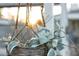 Close-up of a hanging plant on the front porch at 4245 N 16Th Dr, Phoenix, AZ 85015