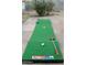 Backyard putting green with putterball game at 4245 N 16Th Dr, Phoenix, AZ 85015