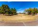 A wide view of the grassy community park with mature trees and landscaping at 741 W Harvard Ave, Gilbert, AZ 85233