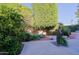 Landscaped backyard area featuring mature trees, desert plants and concrete patio at 8138 E Via De La Escuela --, Scottsdale, AZ 85258