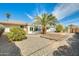 Beautiful backyard showcasing desert landscaping, mature palm trees, and a wooden deck at 10025 W Alabama Ave, Sun City, AZ 85351