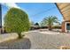 Landscaped backyard featuring a large tree, palm tree, gravel, and a small wooden deck at 10025 W Alabama Ave, Sun City, AZ 85351