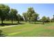 Expansive green space featuring lush grass, mature trees, and paved walking paths at 10115 E Mountain View Rd # 2042, Scottsdale, AZ 85258