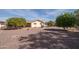 Spacious backyard showcasing mature citrus trees and desert landscaping at 10511 W Edgewood Dr, Sun City, AZ 85351