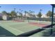 Well-maintained pickleball courts with nets and fencing, surrounded by mature trees and palm trees at 12215 S Potomac St, Phoenix, AZ 85044