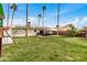 Spacious backyard featuring a lush lawn and barbecue area, perfect for outdoor entertaining at 14008 N 61St Ave, Glendale, AZ 85306