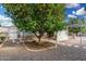 A mature orange tree graces the backyard of this charming home at 238 N 62Nd St, Mesa, AZ 85205