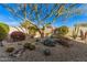 Stylish desert landscaping featuring cactus, stone, and beautiful plants at 25609 N 54Th Ln, Phoenix, AZ 85083