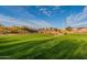 Lush green space in a community setting with trees and walking paths at 8180 W Silver Spring Way, Florence, AZ 85132