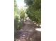 A charming backyard pathway lined with lush trees and greenery creating a tranquil space at 9360 E Milagro Ave, Mesa, AZ 85209