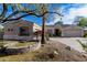 Charming single-story home with manicured desert landscaping, mature trees, and a welcoming facade at 9360 E Milagro Ave, Mesa, AZ 85209