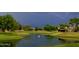 Stunning view of a golf course pond with a swan and a bolt of lightning in the background at 9360 E Milagro Ave, Mesa, AZ 85209