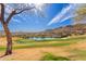 Scenic view of the lush green golf course and picturesque pond, framed by a striking desert landscape at 9715 N Azure Ct # 4, Fountain Hills, AZ 85268