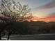 Beautiful sunset over the hills, as seen through the trees at 9715 N Azure Ct # 4, Fountain Hills, AZ 85268