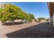 Spacious backyard featuring mature fruit trees, providing shade and a tranquil outdoor setting at 11830 S Paiute St, Phoenix, AZ 85044