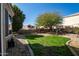 Well-maintained backyard with lush lawn and gravel areas, offering ample space for outdoor activities and gardening at 1202 E Desert Broom Way, Phoenix, AZ 85048