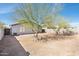 Backyard with desert landscaping and mature trees at 1793 S Valley Dr, Apache Junction, AZ 85120