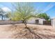 Backyard with two trees, a patio, and desert landscaping at 1793 S Valley Dr, Apache Junction, AZ 85120