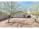 Backyard with two mature trees and a gravel ground cover at 1793 S Valley Dr, Apache Junction, AZ 85120