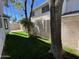 Lush backyard with a well-maintained lawn, greenery, and a glimpse of the property's exterior at 18608 N 4Th Ave, Phoenix, AZ 85027