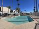 Refreshing community pool surrounded by lounge chairs and lush palm trees on a bright, sunny day at 18608 N 4Th Ave, Phoenix, AZ 85027