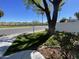 Lush front lawn with a mature shade tree in a quiet, walkable neighborhood at 18608 N 4Th Ave, Phoenix, AZ 85027