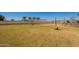 Large grassy backyard with a volleyball net and room for outdoor activities at 21717 W South Mountain Ave, Buckeye, AZ 85326