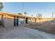 Exterior of home showing the large backyard with mature palm trees, block fence, and patio area at 3611 W Hazelwood St, Phoenix, AZ 85019