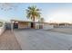 Charming single-story home featuring a desert landscape, large palm tree, and attached carport at 3611 W Hazelwood St, Phoenix, AZ 85019