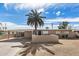 Charming single-story home features a low wall, covered parking, and a mature palm tree in the front yard at 3611 W Hazelwood St, Phoenix, AZ 85019