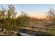 Residential area featuring mature trees and desert landscape at 3912 E Williams Dr, Phoenix, AZ 85050